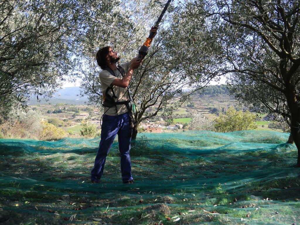 Pontet-Fronzele Agrotourisme Ecologique, Maison D'Hotes & Spa Lagorce  Dış mekan fotoğraf
