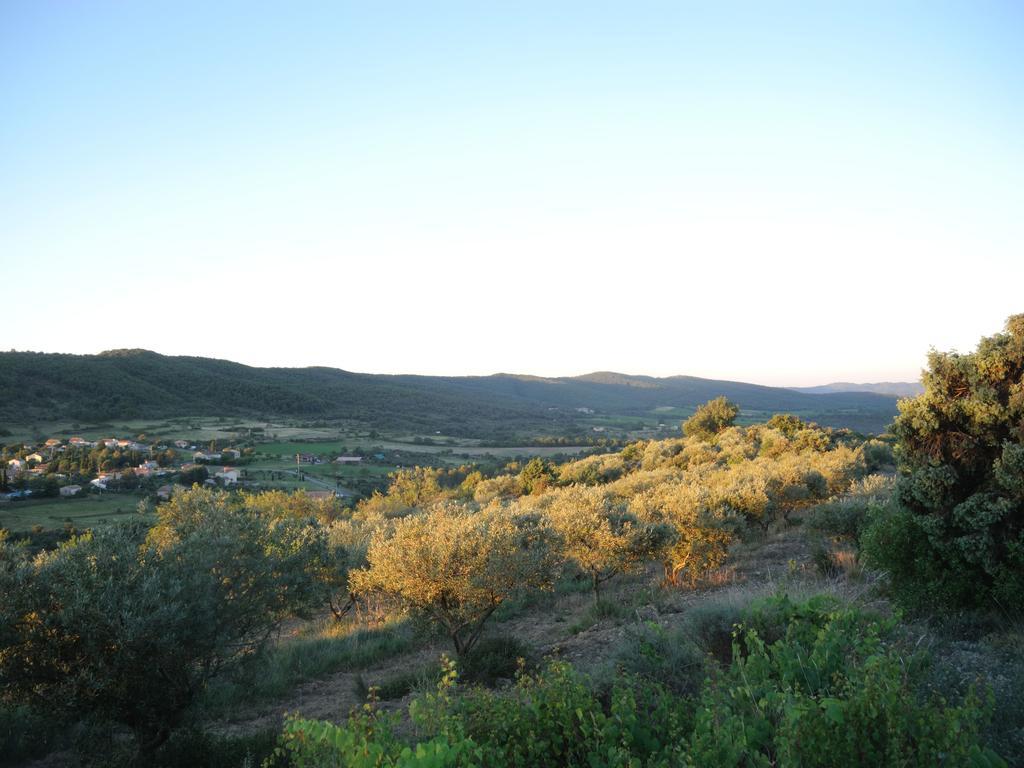 Pontet-Fronzele Agrotourisme Ecologique, Maison D'Hotes & Spa Lagorce  Dış mekan fotoğraf
