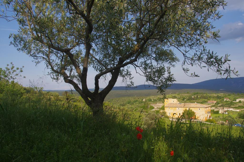 Pontet-Fronzele Agrotourisme Ecologique, Maison D'Hotes & Spa Lagorce  Dış mekan fotoğraf