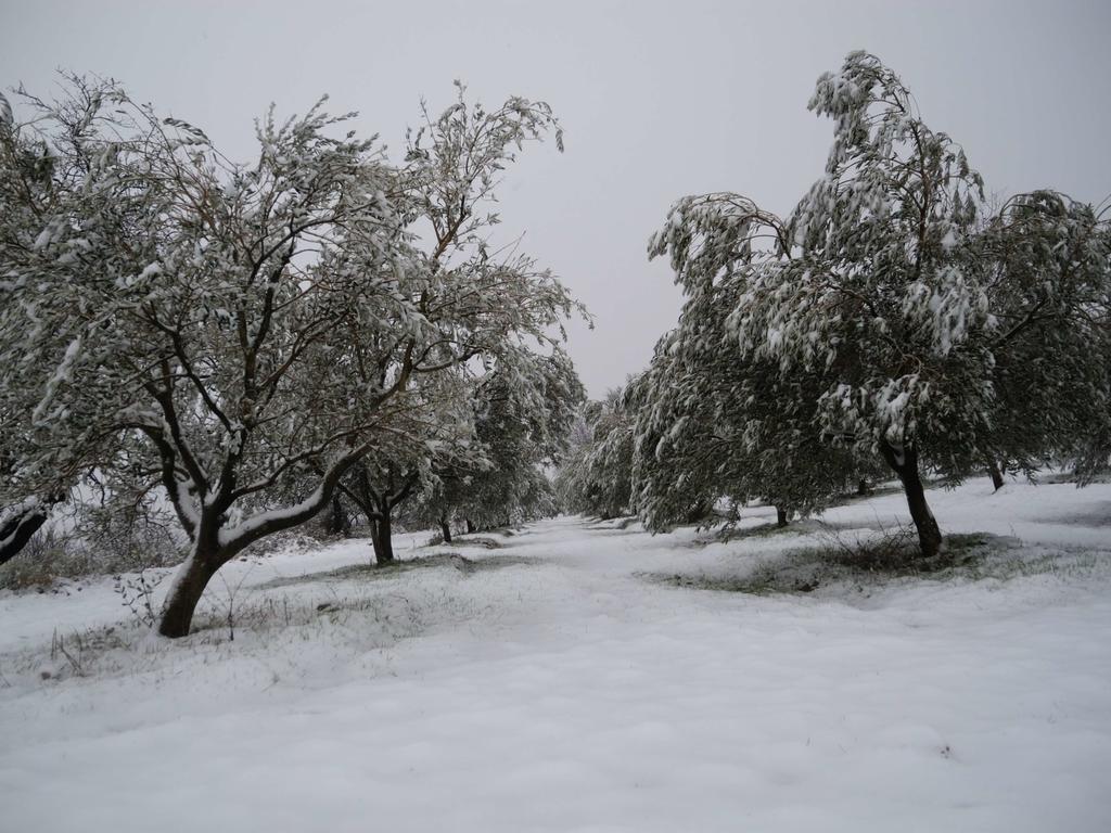 Pontet-Fronzele Agrotourisme Ecologique, Maison D'Hotes & Spa Lagorce  Dış mekan fotoğraf