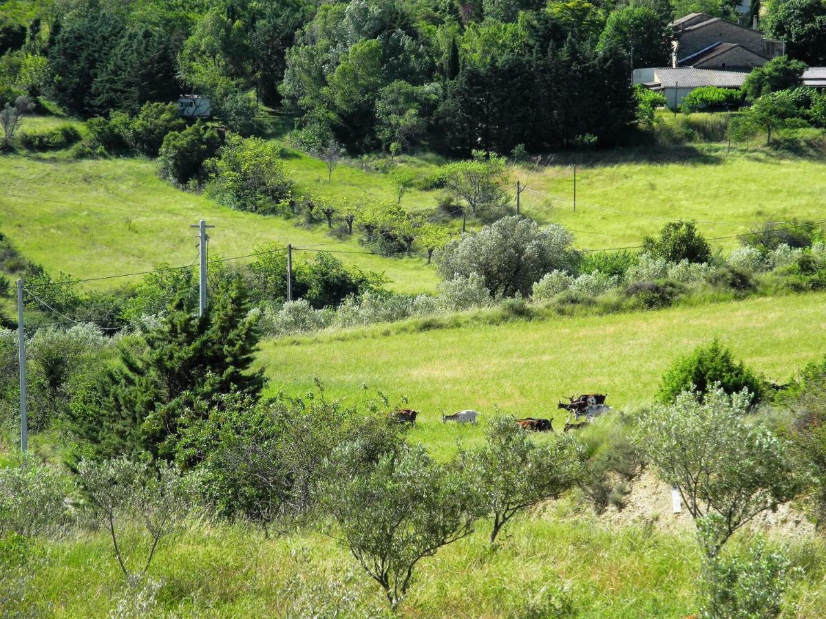 Pontet-Fronzele Agrotourisme Ecologique, Maison D'Hotes & Spa Lagorce  Dış mekan fotoğraf